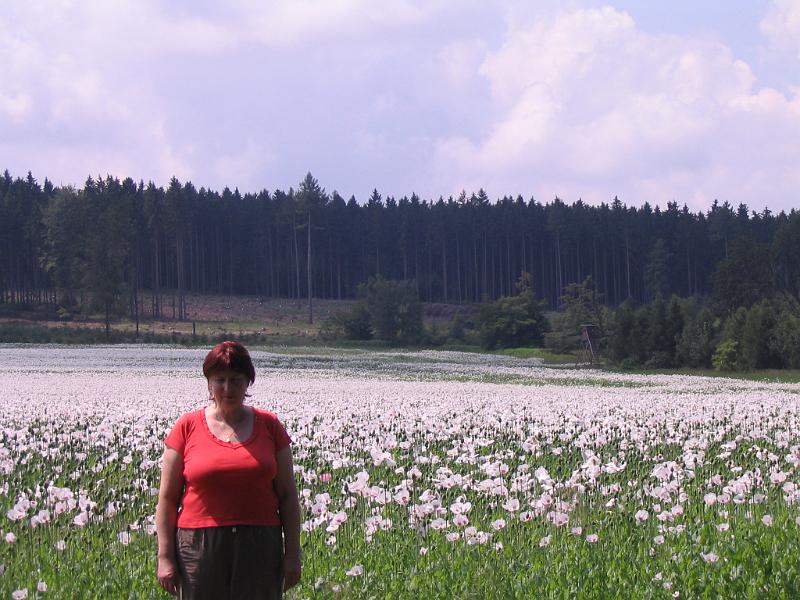 05 Lydie u máku.jpg